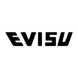 evisu logo image
