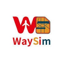 waysim logo image