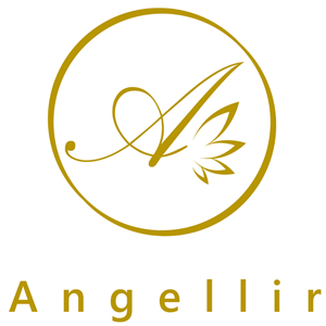 angellir-official logo image