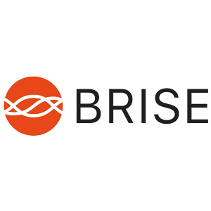 brise logo image