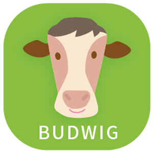 budwig logo image