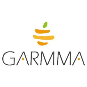 garmma logo image