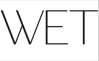 wet-swimwear logo image