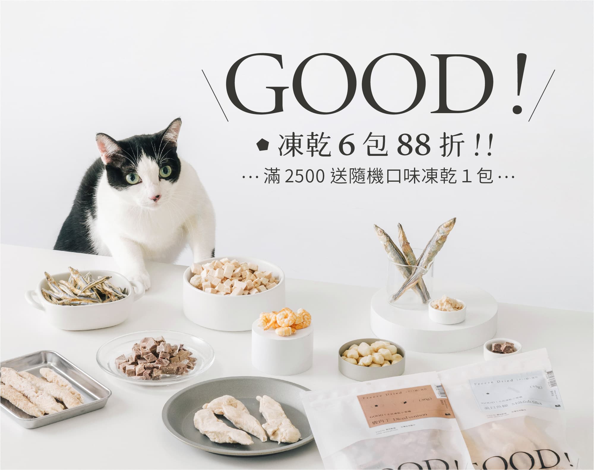 喵皇奴 Meow Servant