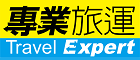 texpert logo image
